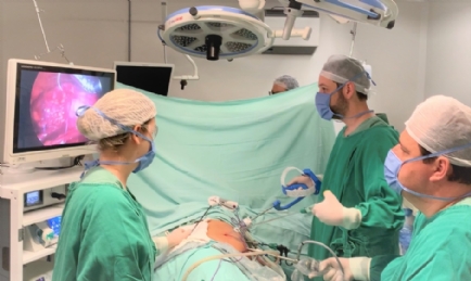 Procedimento aconteceu no Centro Cirrgico do Hospital Ana Nery. Na foto, Dr. Rodrigo Cattelan Donaduzzi e Dr. Eduardo Bauer Ghrs.
